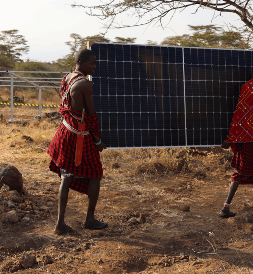 solar panels
